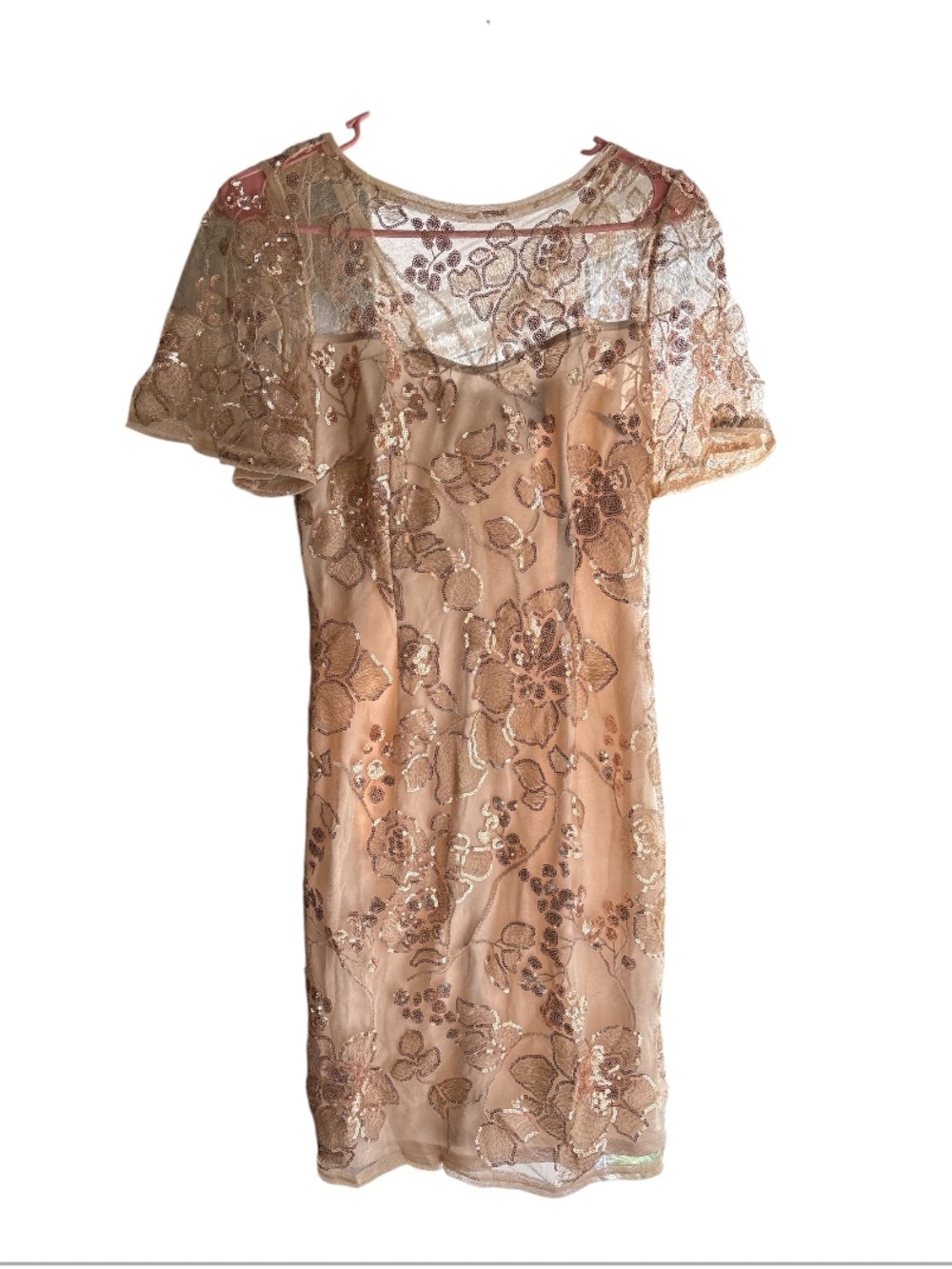 NWT Adrianna Papell Size 2 Embellished Floral Dress in Blush